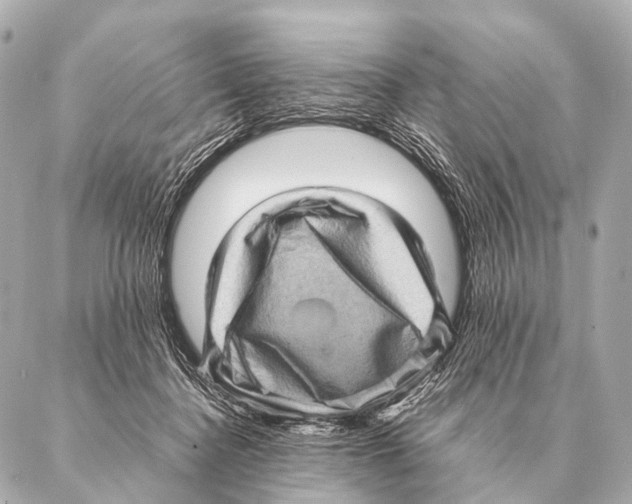 X0000087020364200705141902