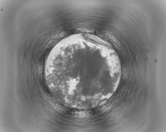 X0000087020365200705141902