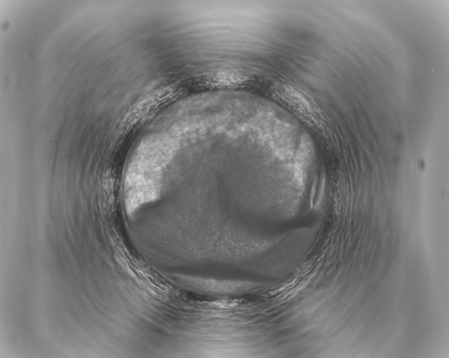 X0000087020366200705141902