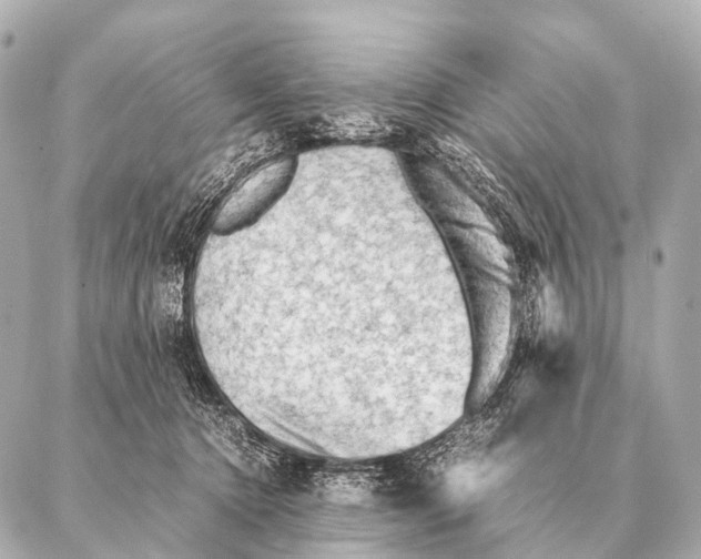 X0000087020368200705141902