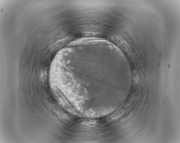 X0000087020369200705141902