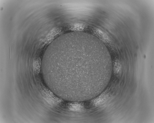 X0000087020370200705141902