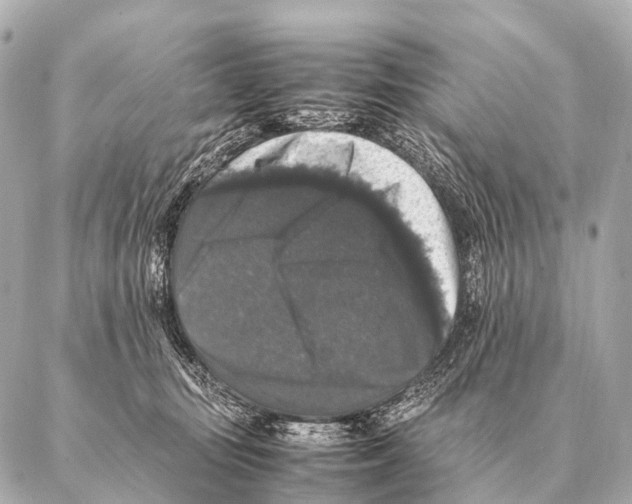 X0000087020371200705141902