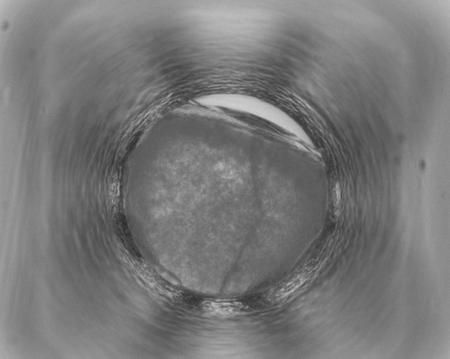 X0000087020372200705141902