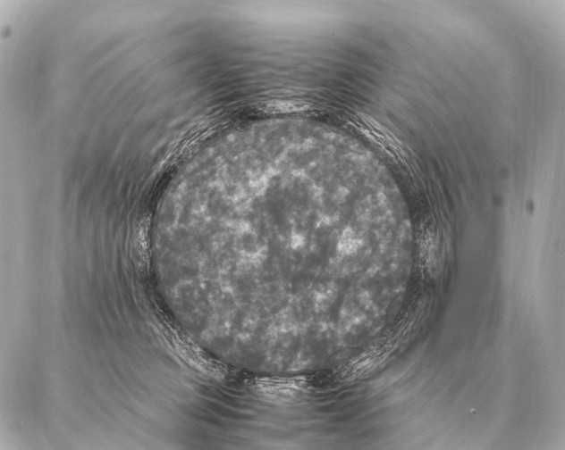 X0000087020373200705141902