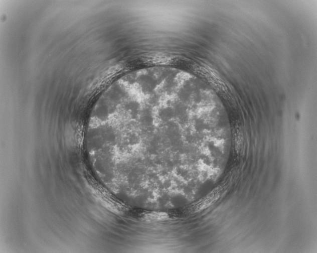 X0000087020374200705141902