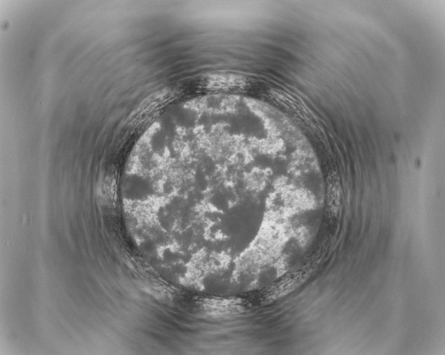 X0000087020375200705141902