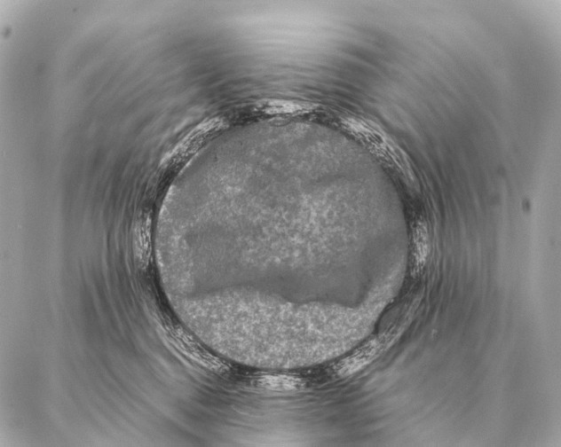 X0000087020376200705141902