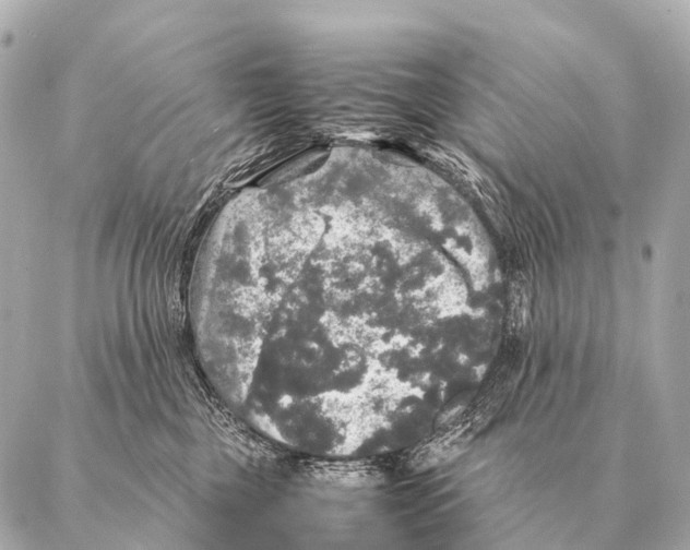 X0000087020377200705141902