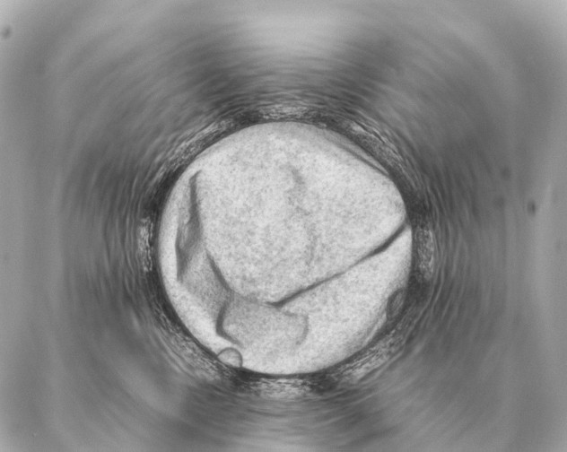 X0000087020378200705141902