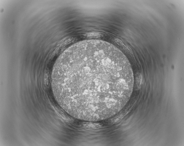 X0000087020379200705141902