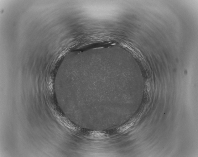 X0000087020380200705141902