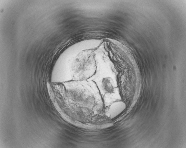 X0000087020381200705141902