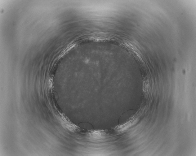 X0000087020382200705141902