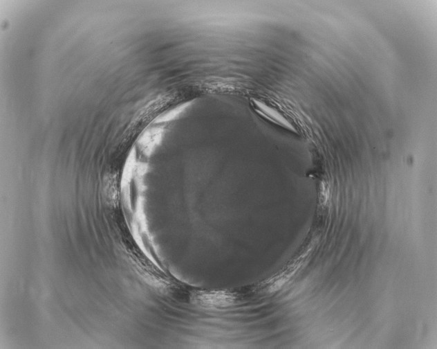 X0000087020383200705141902