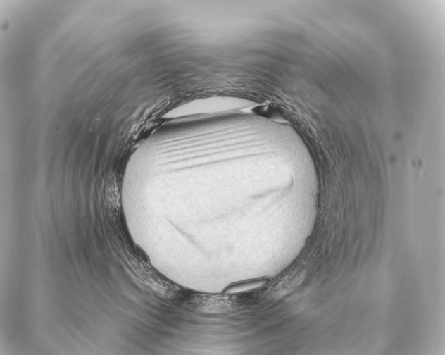 X0000087020384200705141902