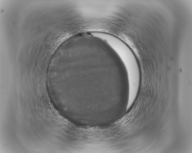 X0000087020385200705141902