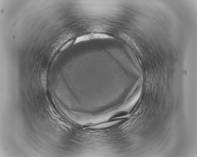 X0000087020386200705141902