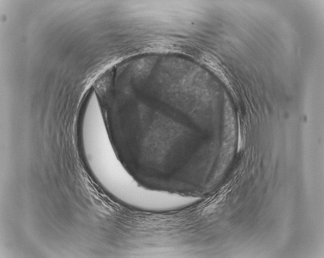 X0000087020387200705141902