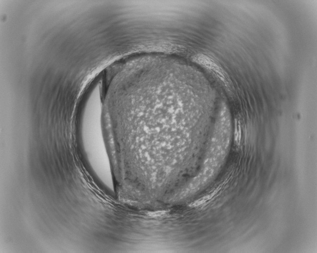 X0000087020388200705141902