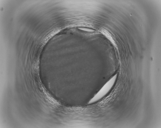 X0000087020389200705141902