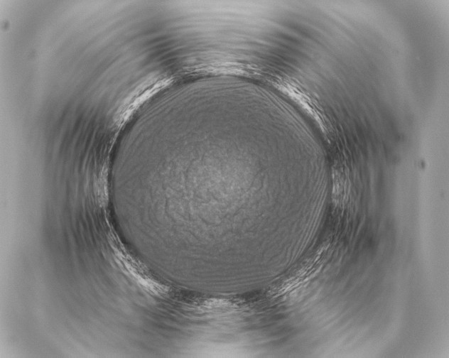 X0000087020390200705141902