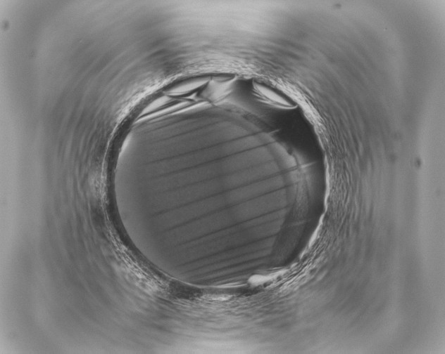 X0000087020391200705141902