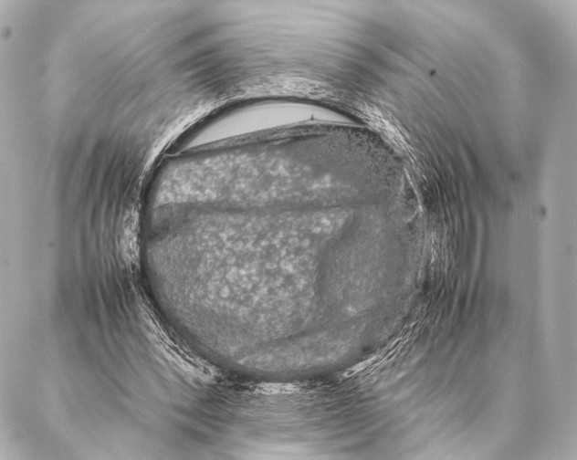 X0000087020392200705141902