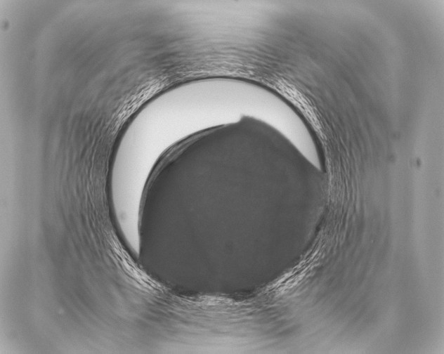 X0000087020393200705141902