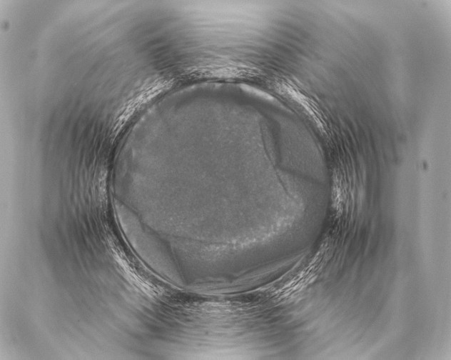 X0000087020394200705141902