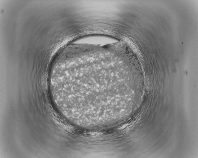 X0000087020395200705141902