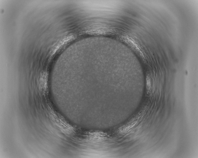 X0000087020396200705141902