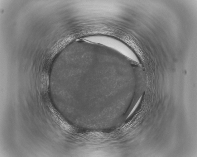 X0000087020397200705141901