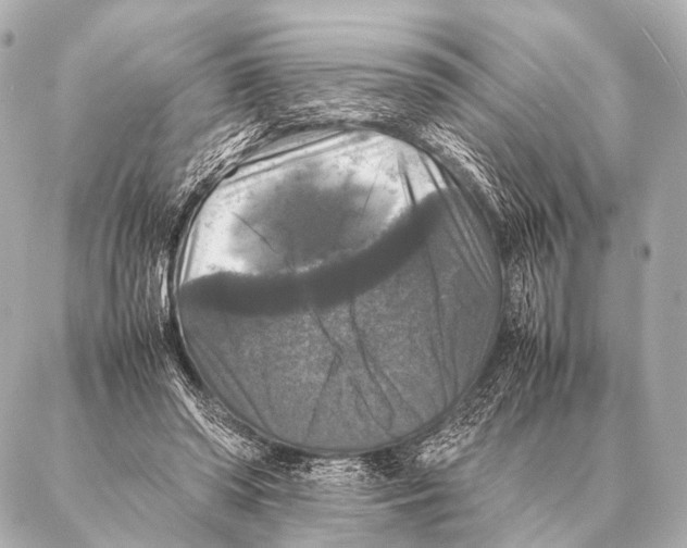 X0000087020398200705141901