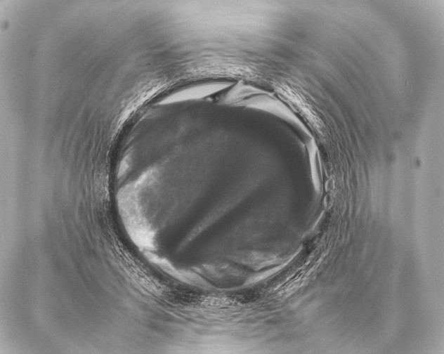 X0000087020399200705141901