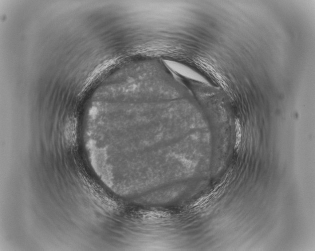 X0000087020400200705141901