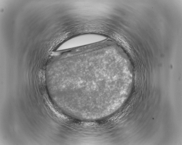 X0000087020401200705141901