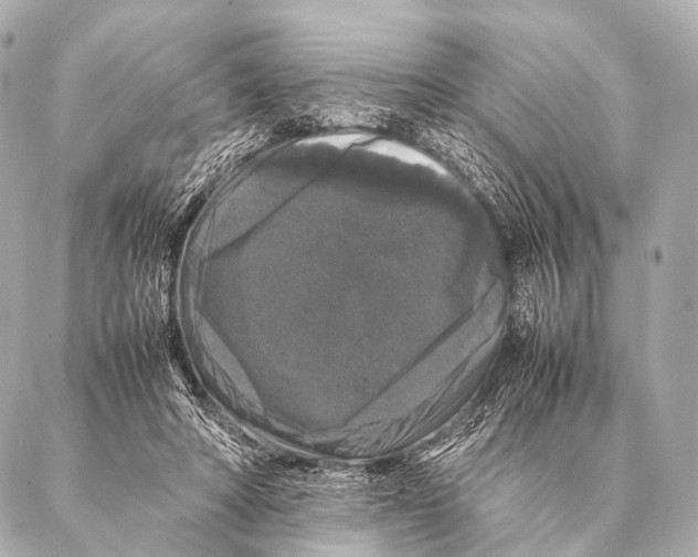 X0000087020402200705141901