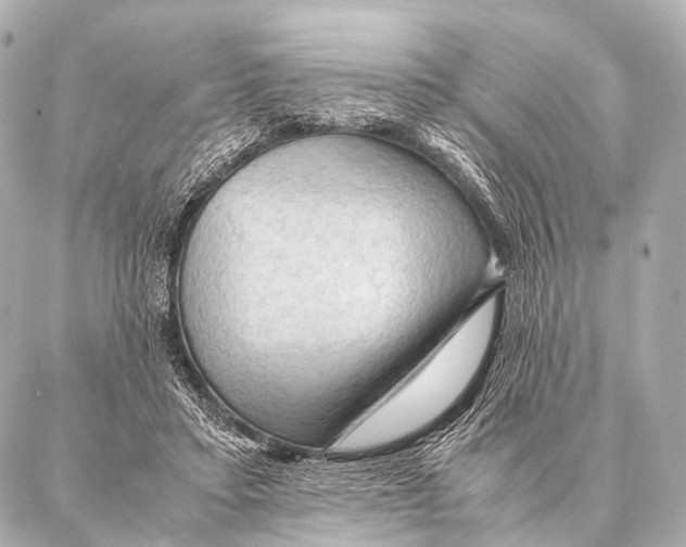 X0000087020403200705141901