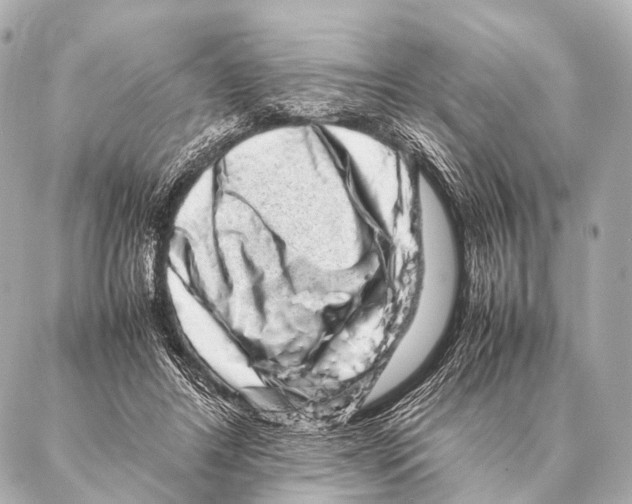 X0000087020404200705141901