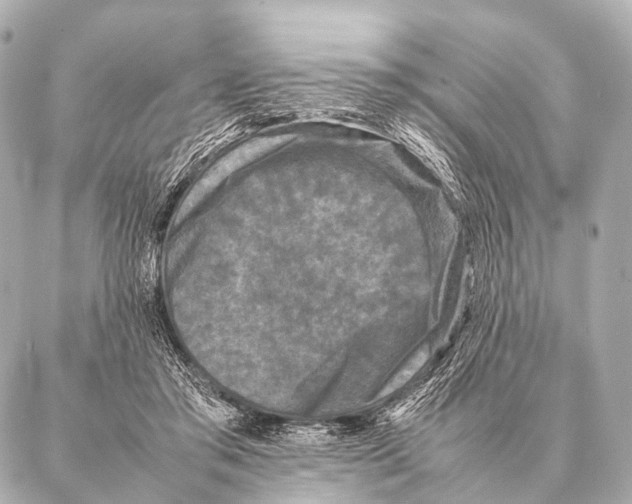 X0000087020405200705141901