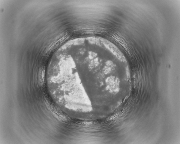 X0000087020406200705141901