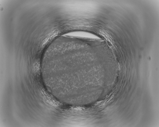 X0000087020407200705141901