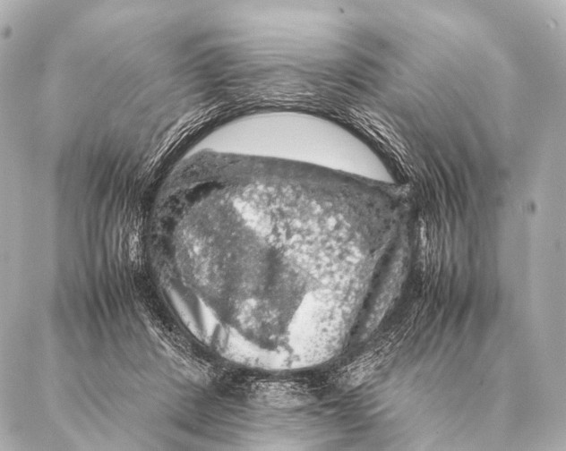 X0000087020408200705141901