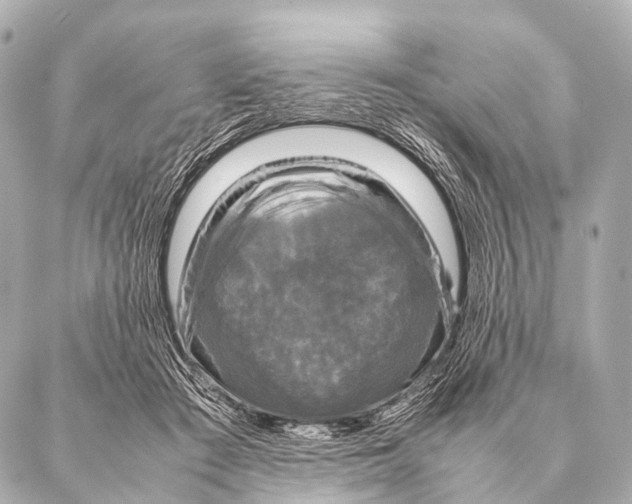 X0000087020409200705141901