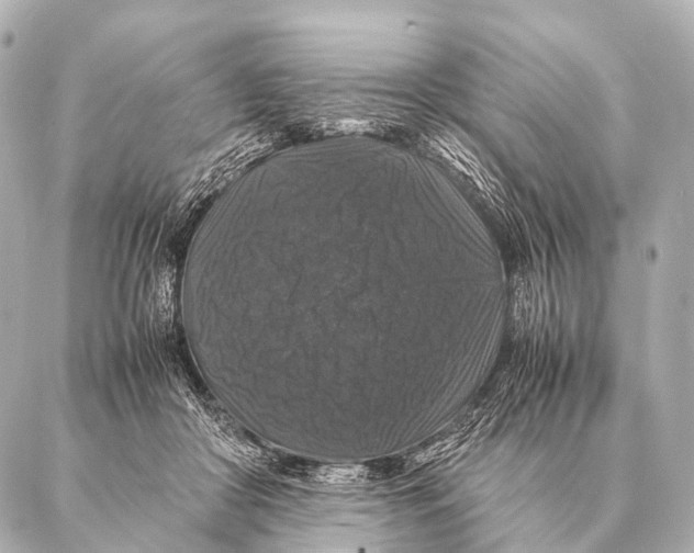 X0000087020410200705141901