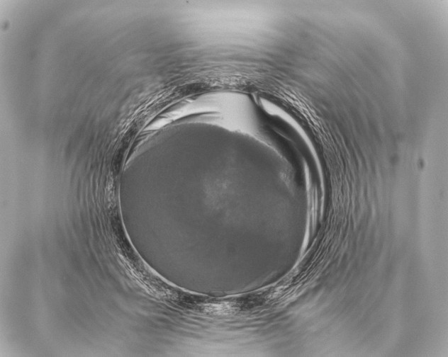 X0000087020411200705141901