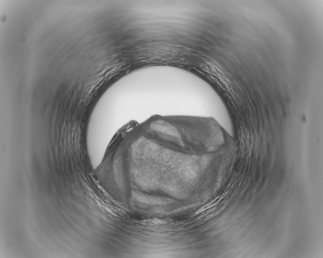 X0000087020412200705141901