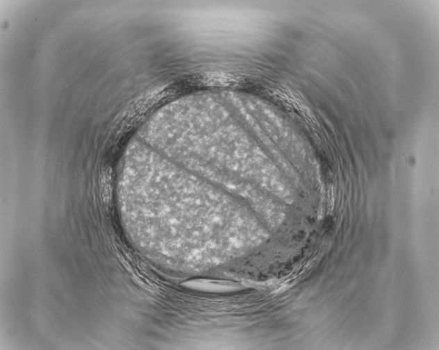 X0000087020413200705141901