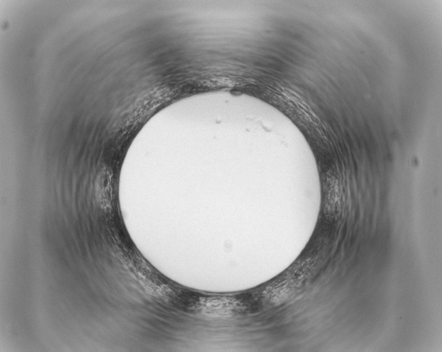 X0000087020414200705141901